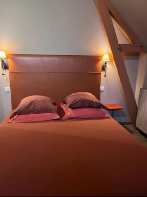 La Demeure De L'Ile Bed & Breakfast Craon  Luaran gambar